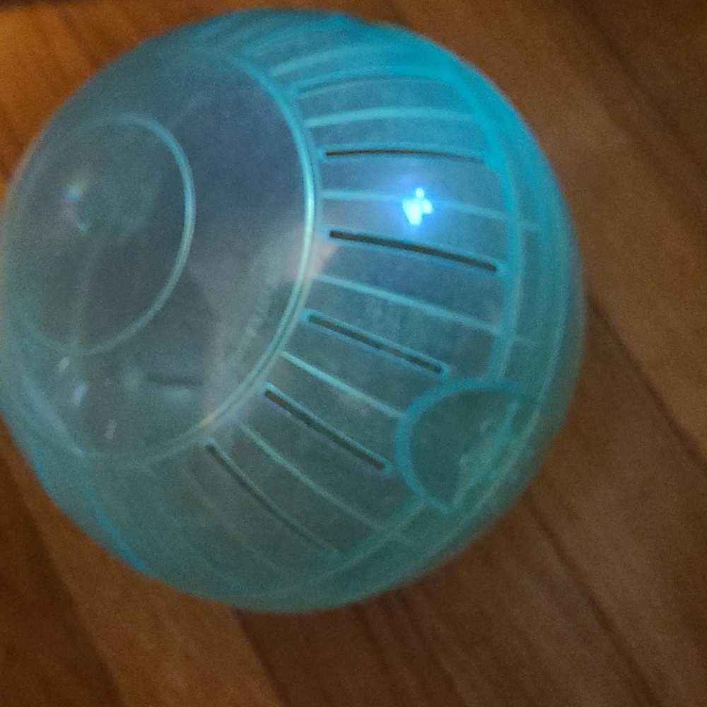 Hamster ball & water bottle